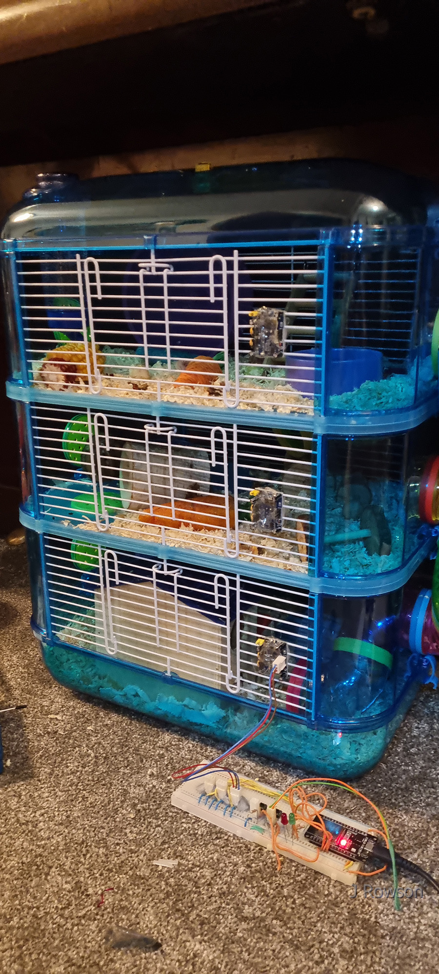 Monitoring Diesel (the Hamster)'s Movements - Diesel's new 3-layer cage (credit: James Rowson).